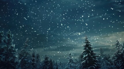 Wall Mural - winter night sky full of stars