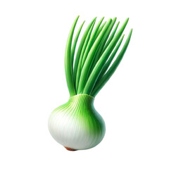 Wall Mural - Green onion isolated on transparent background