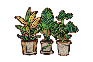 Wall Mural - Vector illustration of three potted indoor plants with vibrant, detailed leaves, perfect for botanical and gardening designs.