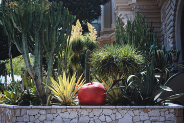 Jardin Exotique garden in Monaco