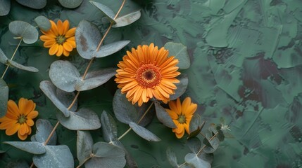 Canvas Print - Flat lay of orange gerbera daisy flower and eucalyptus leaves on green surface