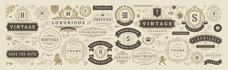 vintage typographic decorative ornament design elements set vector illustration