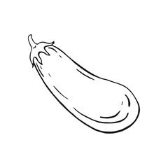 Wall Mural - Eggplant. Hand drawn vector illustration.