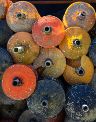 CAP FERRET (bassin d'Arcachon, France). Coupelles colorées en plastique servant de collecteurs de larves d'huîtres pour les ostréiculteurs