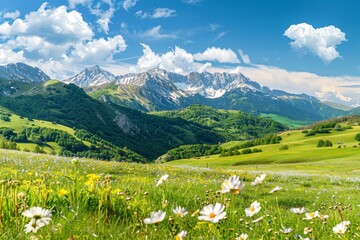 Wall Mural - Sunny day mountain landscape with meadows, wildflowers, panoramic rural spring scenery