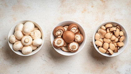 Wall Mural - Mixed mushrooms on light background. Delicious and fresh champignons. Organic and tasty food.