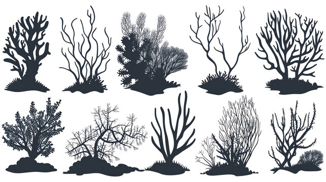 A collection of various black silhouette vector illustrations of coral reefs. Detailed and diverse marine life designs.