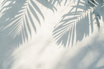 Poster - White wall with tropical palm leaf shadow. Beautiful abstract background concept banner for summer vacation	