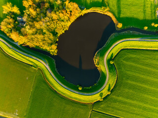Wall Mural - an aerial view of a road with curves. road through the field. image for wallpaper, background, desig
