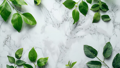 Green leaves in water on light marble background. Summer concept, flat lay, top view