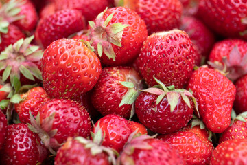 Wall Mural - Close-up of juicy, organic strawberries, a natural product