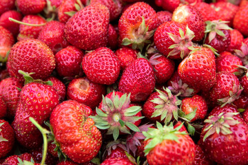 Wall Mural - Organically grown strawberries, top view of red berries