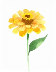 Wall Mural - Hand drawn watercolor yellow zinnia flower isolated on white background