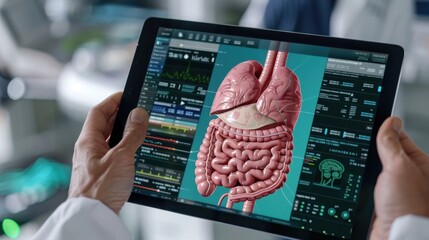 Wall Mural - Interactive anatomy human stomach application on a tablet