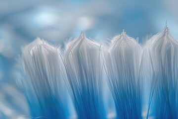 Poster - Close up of white and blue toothbrush bristles, macro photography. , abstract background