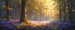 © Влада Яковенко - A serene woodland glade with sunlight filtering through the trees, illuminating a carpet of bluebells on the forest floor.