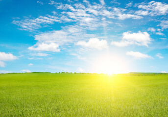 Wall Mural - fantastically bright sky over green field.