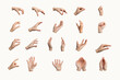 © valiantsin - Hand gesture set, various signs. White background, isolated different arm positions. Palm, fist icons. Showing pinch, pick, grab, and grip. Reaching, protection, catch, giving,, transparent PNG cutout