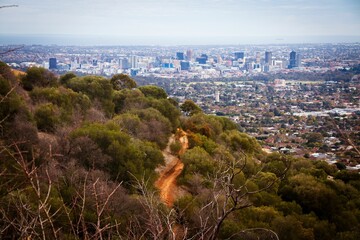 Scenic view of Adelaide city skyline from a hiking trail on a hill with lush greenery.