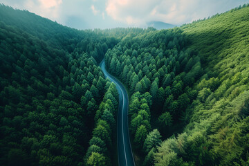 Aerial view of a twisty road in the mountains