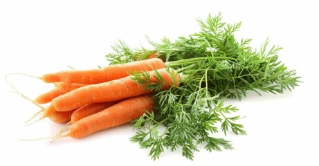 Wall Mural - Fresh Carrots with Green Parsley Top