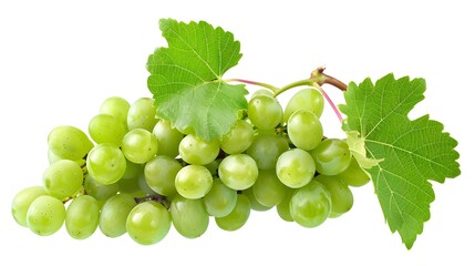 Poster - Green grape with leaves isolated on white. With clipping path. Full depth of field. 