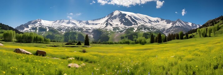 Poster - mountain meadow in summer with tall green trees, blue sky, and white clouds