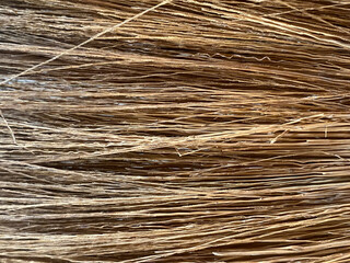 Canvas Print - brown broom texture background. macro photography, top view