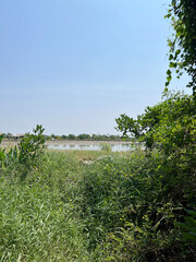 Sticker - beautiful landscape of the lake in the morning