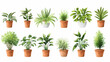 © ak159715 - Set of different plants in pots isolated on white background illustration