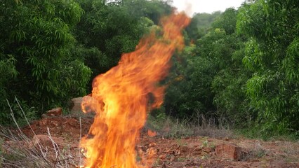 Canvas Print -  Wildfire rages in a forest threatening the surrounding ecosystem