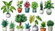 © ak159715 - Set of different plants in pots isolated on white background illustration