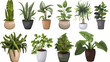 © ak159715 - Set of different plants in pots isolated on white background illustration