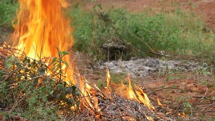 Canvas Print -  Wildfire rages through dry brush and grass