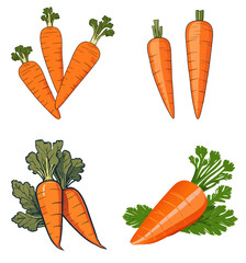 Sticker - set of carrots isolated on transparent background.generative AI