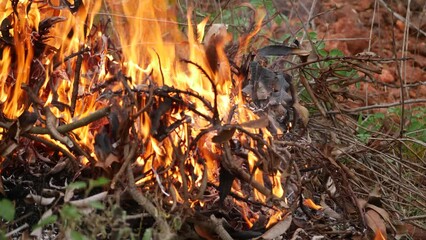 Poster -  Blazing fire engulfs dry branches in outdoor setting