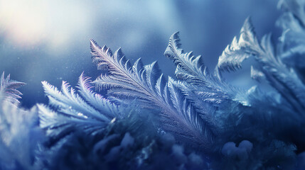 Poster - Beautiful ice crystals forming on window during winter