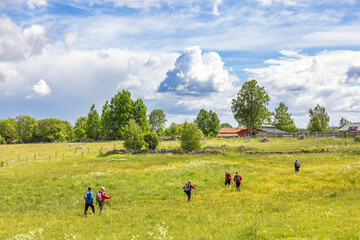 Wall Mural - people hiking on a meadow in rural summer landscape