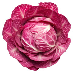 Sticker - PNG Cabbage vegetable flower plant.