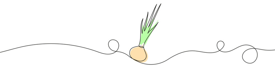 Wall Mural - continuous editable line drawing of onion. one line drawing of onion icon. vector illustration. onio