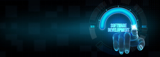 Wall Mural - inscription software development on the virtual display. business, modern technology, internet and n