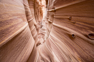 Wall Mural - Slot canyon