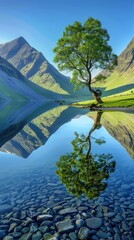 Wall Mural - Beautiful lake, sunlight shining through tree and mountains reflecting on water with blue sky, sunny summer day