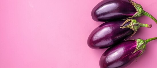 Leinwandbilder - eggplant Isolated on pastel background Isolated  Eggplant. with copy space image. Place for adding text or design