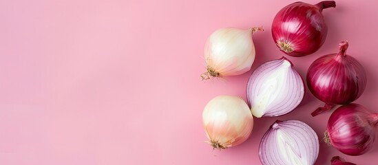 Fototapete - White ripe sweet onion vegetable isolated pastel background. with copy space image. Place for adding text or design