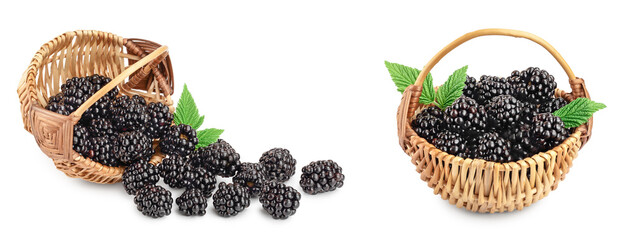 Wall Mural - blackberry in basket with leaf isolated on a white background closeup