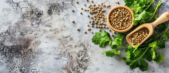 Fototapete - Dry coriander seeds with small bamboo spoon and green fresh bunch coriander leaves,famous spices ingredients in asia's kitchen. pastel background. with copy space image