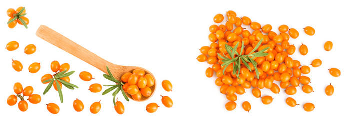 Wall Mural - Sea buckthorn in wooden spoon. Fresh ripe berry with leaves isolated on white background with copy space for your text. Top view. Flat lay pattern