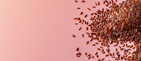 Leinwandbilder - Flax seeds isolated on a pastel background, a front view. with copy space image. Place for adding text or design