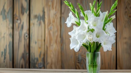 Wall Mural - Beautiful white gladiolus flowers in a vase on wooden bedroom table Text space available